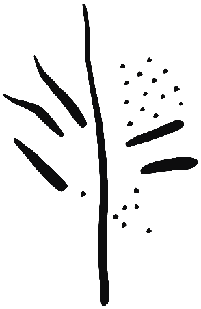 Image of the occurrence